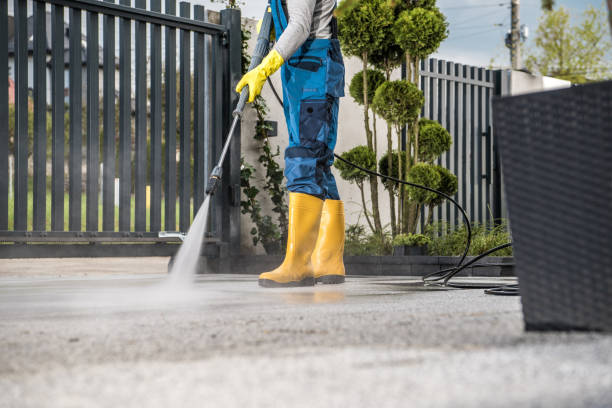 Best Gutter Cleaning  in Gregory, TX